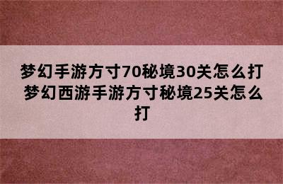 梦幻手游方寸70秘境30关怎么打 梦幻西游手游方寸秘境25关怎么打